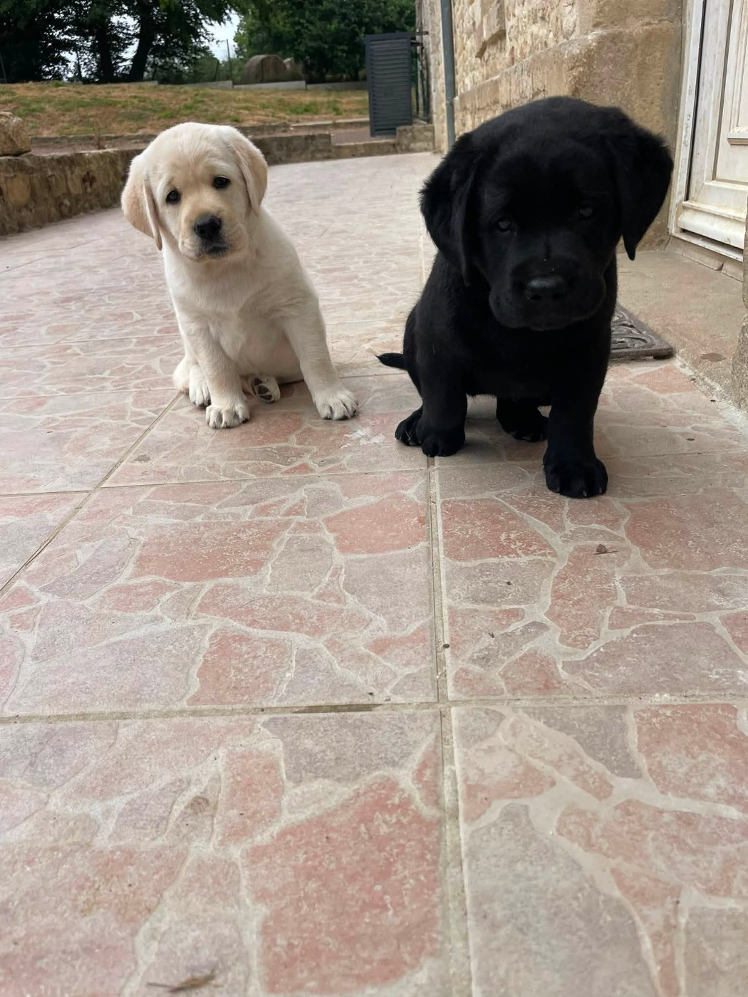 Bébés noirs et sable début octobre