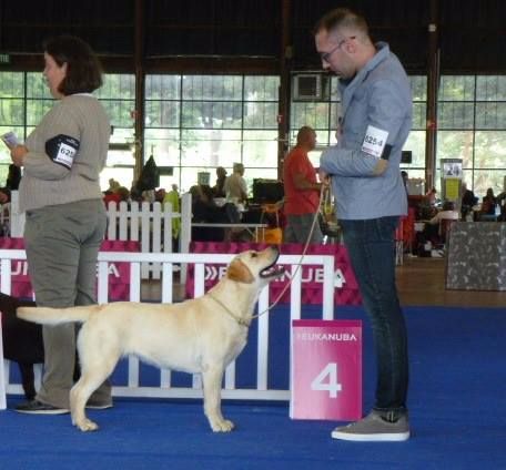 Du Petit Vey - Mélusine 4ème excellent au Championnat de France