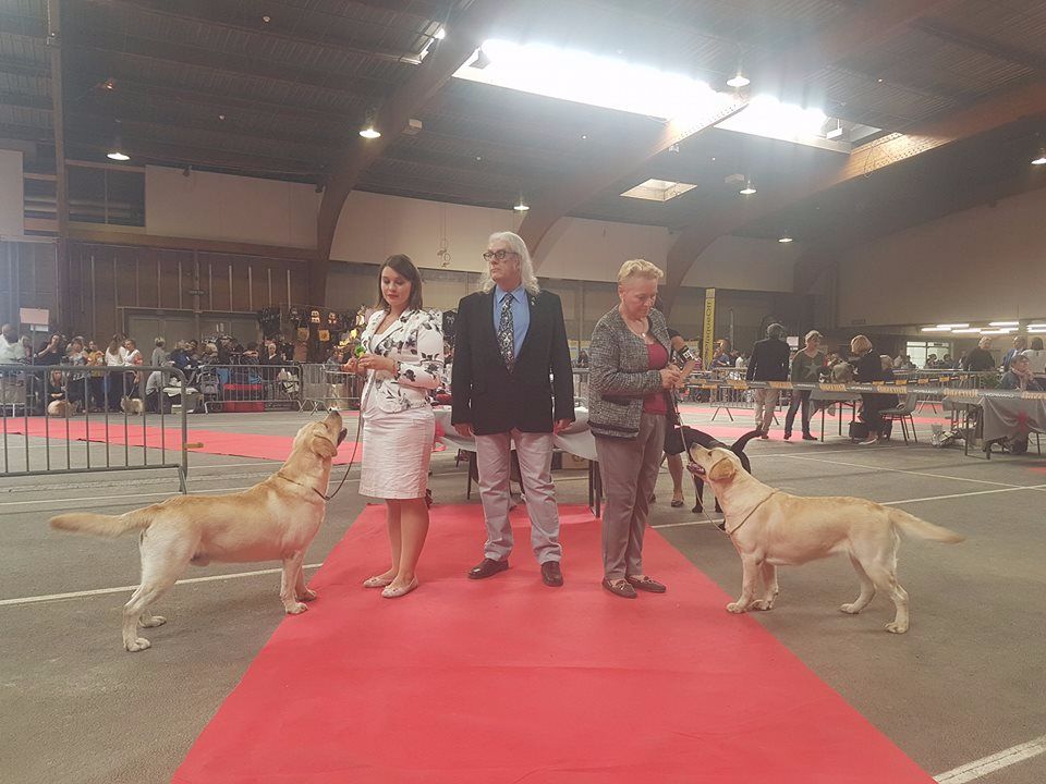 Du Petit Vey - CACS CACIB pour Mélusine à Macon