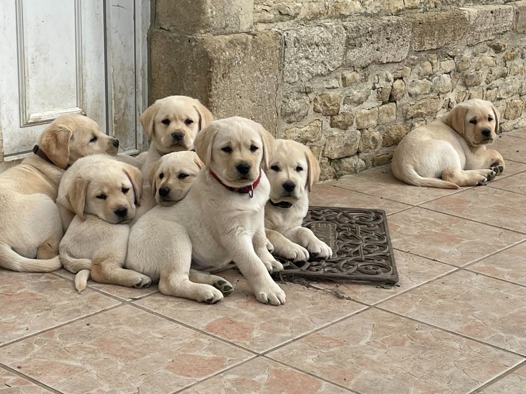Bébés sables fin d'année